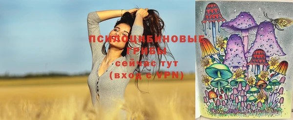 бошки Кодинск